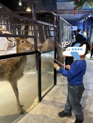 -酷嗒动物文化乐园(cutezoo西溪乐天城店)