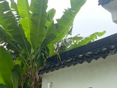 -墅园