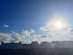 -Mr.Fox狐狸先生超级密室(南山店)