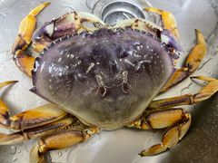 -众彩物流水产市场