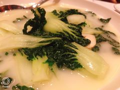白菜仔-东富酒家(龙湖西溪天街店)