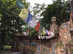 -奥兰多迪士尼动物王国乐园