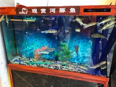 -肆月河豚·新淮扬(金融街店)