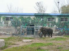 -西安秦岭野生动物园