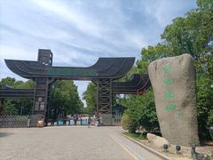 -溱湖国家湿地公园