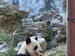 -杭州野生动物世界