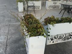 -移动谜城·大笨象密室逃脱(五棵松店)