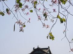 -海珠湖公园
