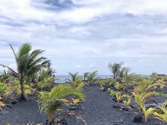 -夏威夷火山国家公园