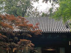 -望江楼公园