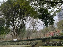 -龙头寺公园