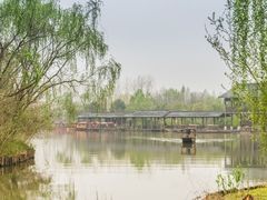 -溱湖国家湿地公园