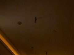 -泰谷玲抓龙筋SPA·泰式按摩(五一广场店)