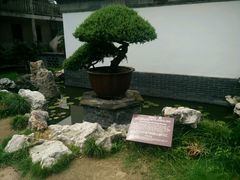 -水绘园