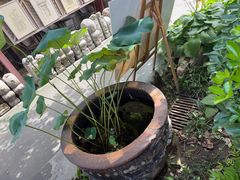 -正阳书局(西四南大街店)