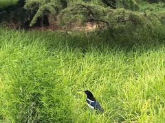 -钓鱼台国宾馆
