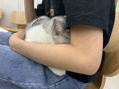 -瑞鹏宠物医院·骨科·猫科·内科(第一中心)