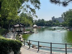 -莲湖公园