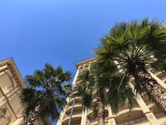 -上海星河湾酒店(闵行店)