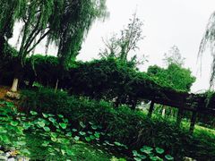 -中央公园(苏州工业园区)