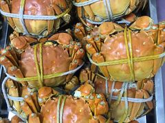 -乡乐园蟹庄·阳澄湖农家乐