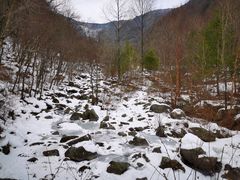 -秦岭风景区