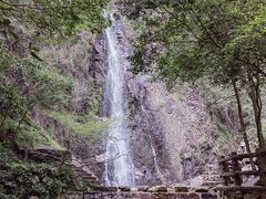 -姑婆山旅游区