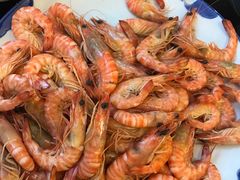 -喜来酌海鲜·饺子(和平一店)