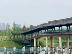-眉山湿地公园(东坡区)