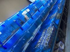 -前王院•巧克力海鲜市集餐厅(万平口店)