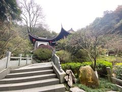 -十八棵（老龙井）御茶园(老龙井店)