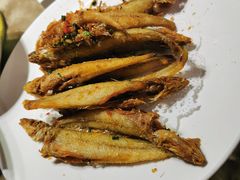 -百年银屏蚝烙·潮汕菜·非遗(乐山店)