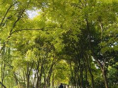 -南翠屏公园