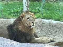 -北京野生动物园