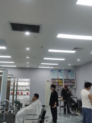 -YESIDO椰岛造型