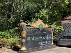 -莫里热带雨林景区