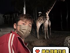 -清迈夜间动物园