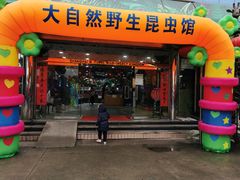 -上海大自然野生昆虫馆(东方明珠·爬宠昆虫探索中心)