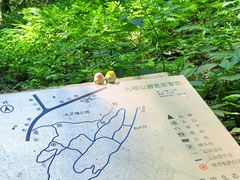 -九曜山