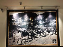 -迪庆藏族自治州博物馆