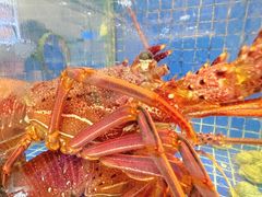 -明记海鲜大排档(巽寮湾店)
