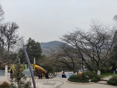 -杭州少年儿童公园