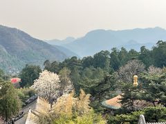 -潭柘寺景区