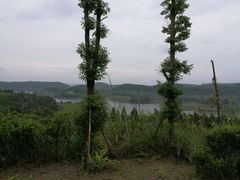 -仙海旅游度假区