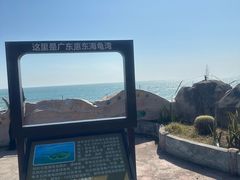 -广东惠东海龟国家级自然保护区