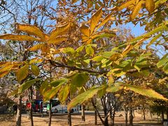 -国家植物园南园