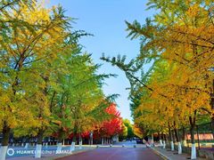 -辽宁大学(崇山校区)