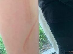 -合肥滨湖国家森林公园