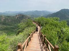 -大岭沟猕猴桃谷风景区