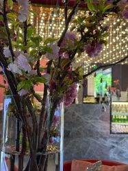 -花隐·美芙炫海菲秀皮肤管理中心